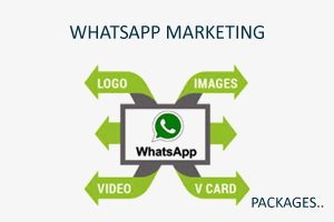 Digital Marketing Solution Services  in noida, Delhi ncr, Mumbai, Gurugram, Bangalore, India, Digital Marketing Solution Company, Digital Marketing Solutions  in noida, Delhi ncr, Mumbai, Gurugram, Bangalore, India, Digital Marketing Solutions Agency  in noida, Delhi ncr, Mumbai, Gurugram, Bangalore, India, Digital Marketing Solution Company  in noida, Delhi ncr, Mumbai, Gurugram, Bangalore, India, Performance Marketing Company in noida, Delhi ncr, Mumbai, Gurugram, India, Digital Marketing in noida, Delhi ncr, Mumbai, Gurugram, India, Digital Marketing Services in noida, Delhi ncr, Mumbai, ,Gurugram, India, Digital Marketing Services Agency in noida, Delhi ncr, Mumbai, Gurugram, India, Digital Marketing Company in noida, Delhi ncr, Mumbai, Gurugram, India, Best Digital Marketing Services  in noida, Delhi ncr, Mumbai, Gurugram, India, Digital Marketing Agency in noida, Delhi ncr, Mumbai, Gurugram, Bangalore, India, Digital Marketing Agency in noida, Delhi ncr, Mumbai, Gurugram, Bangalore, India,